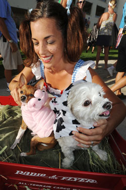 Pet Masquerade and Parade 2010 photo - Duval Street, Key West